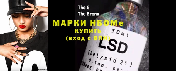 хмурый Алзамай