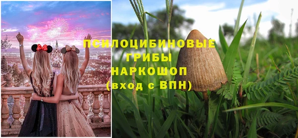мяу мяу мука Алексеевка