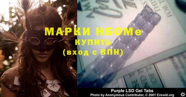 хмурый Алзамай